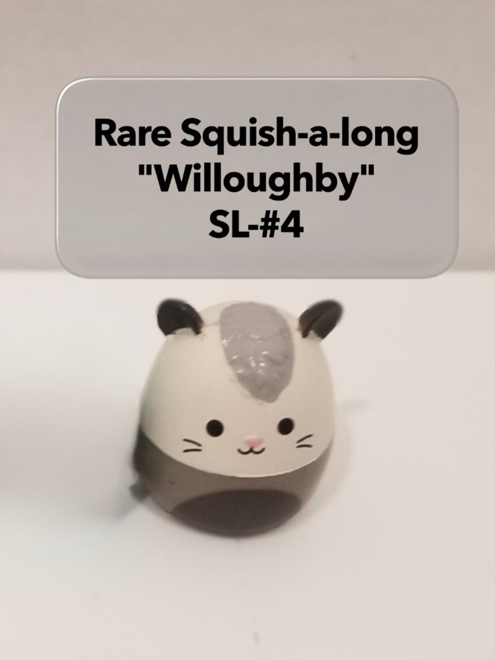 Squish-a-longs by Squishmallows, Series 1 set, EUC - Picture 9 of 11